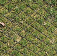 Diamond Grid filled with turf
